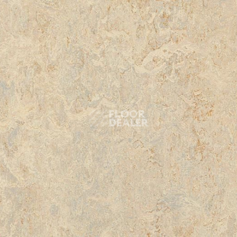 Линолеум Forbo Marmoleum Decibel on Order 312035 rosato фото 1 | FLOORDEALER